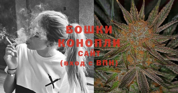 твердый Михайлов
