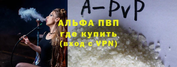 твердый Михайлов
