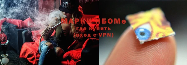 твердый Михайлов