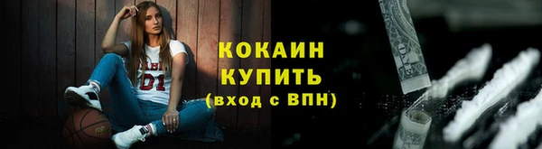 твердый Михайлов