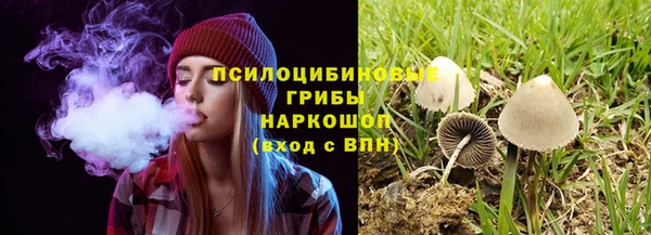 твердый Михайлов