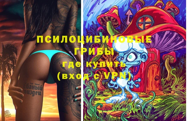 твердый Михайлов