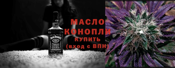 твердый Михайлов