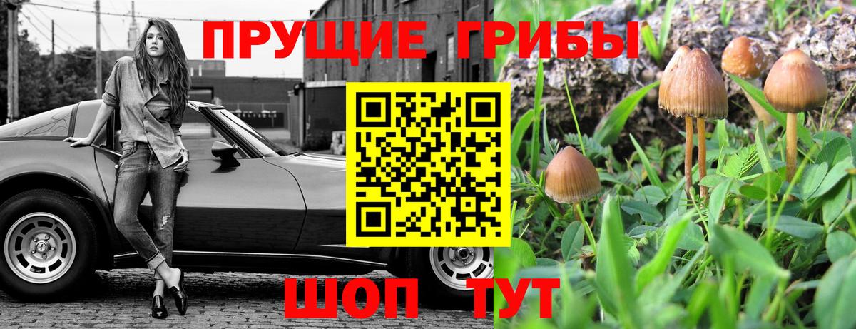 купить наркотик  Вход с VPN  Новосибирск  Галлюциногенные грибы мухоморы 