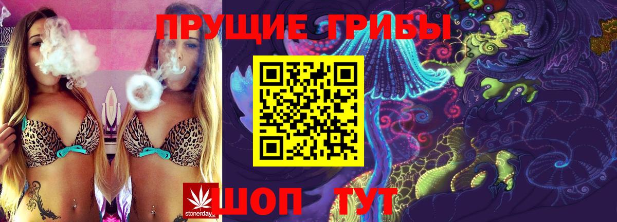 Псилоцибиновые грибы Psilocybe Новосибирск